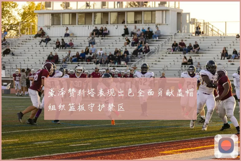 豪泽赞科塔表现出色全面贡献盖帽组织篮板守护禁区